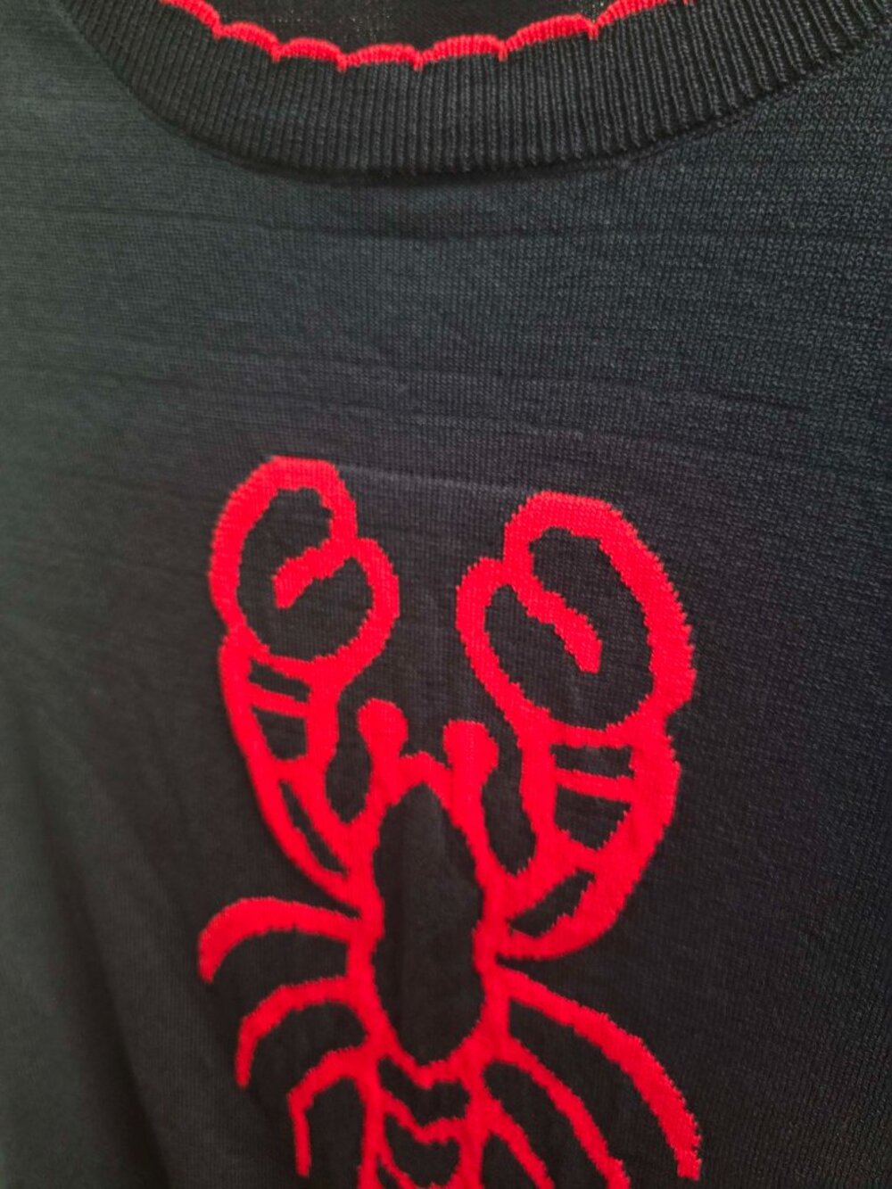 T20. Navy Lobster Short Sleeve Sweater - Picture 3 of 4